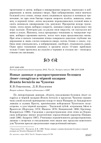 Новые данные о распространении белошея Anser canagicus и чёрной казарки Branta bernicla на Чукотке