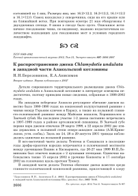 К распространению джека Chlamydotis undulata в западной части Алакольской котловины