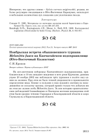 Ноябрьская встреча обыкновенного турпана Melanitta fusca на Капчагайском водохранилище (Юго-Восточный Казахстан)