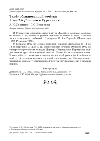 Залёт обыкновенной чечётки Acanthis flammea в Туркмению