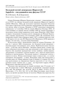 Большой пегий зимородок Megaceryle lugubris - гнездящийся вид фауны СССР