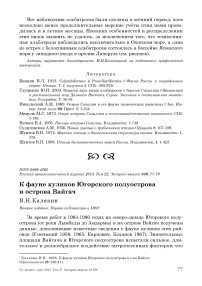 К фауне куликов Югорского полуострова и острова Вайгач