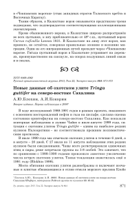 Новые данные об охотском улите Tringa guttifer на северо-востоке Сахалина