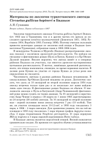 Материалы по экологии туркестанского змееяда Circaetus gallicus heptneri в Бадхызе