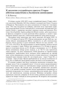 К экологии уссурийского урагуса Uragus sibiricus ussuriensis в Лазовском заповеднике