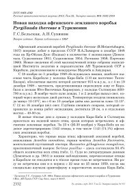 Новая находка афганского земляного воробья Pyrgilauda theresae в Туркмении