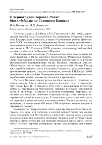 О черногрудом воробье Passer hispaniolensis на Северном Кавказе