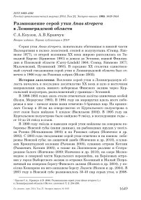 Размножение серой утки Anas strepera в Ленинградской области