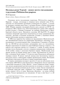 Низовья реки Тургай - новое место гнездования турухтана Philomachus pugnax