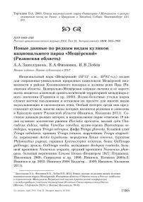 Новые данные по редким видам куликов национального парка «Мещёрский» (Рязанская область)