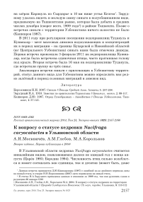 К вопросу о статусе кедровки Nucifraga caryocatactes в Ульяновской области