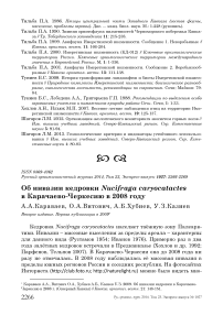 Об инвазии кедровки Nucifraga caryocatactes в Карачаево-Черкесию в 2008 году