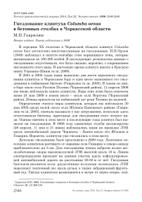 Гнездование клинтуха Columba oenas в бетонных столбах в Черкасской области