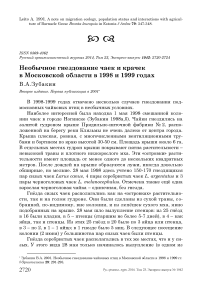 Необычное гнездование чаек и крачек в Московской области в 1998 и 1999 годах