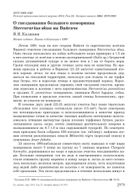 О гнездовании большого поморника Stercorarius skua на Вайгаче