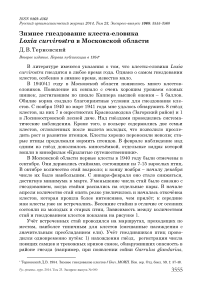 Зимнее гнездование клеста-еловика Loxia curvirostra в Московской области