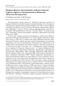 Первые факты гнездования лебедя-кликуна Cygnus cygnus в Гродненской и Минской областях Белоруссии