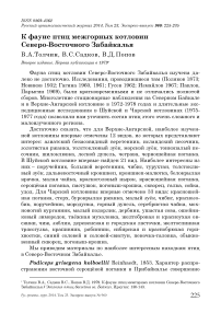 К фауне птиц межгорных котловин Северо-Восточного Забайкалья