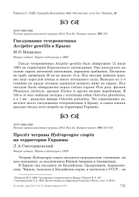 Гнездование тетеревятника Accipiter gentilis в Крыму