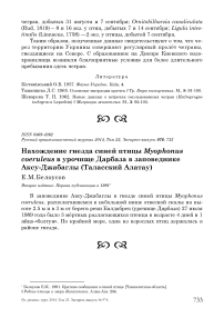 Нахождение гнезда синей птицы Myophonus coeruleus в урочище Дарбаза в заповеднике Аксу-Джабаглы (Таласский Алатау)