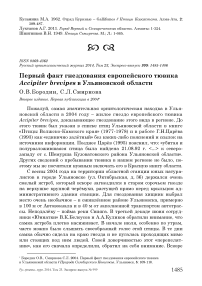 Первый факт гнездования европейского тювика Accipiter brevipes в Ульяновской области