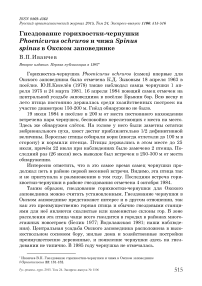 Гнездование горихвостки-чернушки Phoenicurus ochruros и чижа Spinus spinus в Окском заповеднике