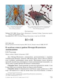 О залётах птиц в район Печоро-Илычского заповедника