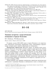 Зимние встречи с перелётными птицами в городе Елизово