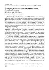 Новые сведения о малоизученных птицах бассейна Байкала