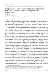 Современное состояние популяции просянки Miliaria calandra на юге Центрального Черноземья