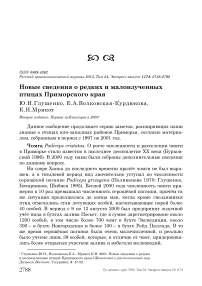 Новые сведения о редких и малоизученных птицах Приморского края