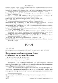 Весенний пролёт пискульки  Anser erythropus на острове Беринга