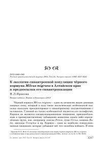 К экологии синантропной популяции чёрного коршуна Milvus migrans в Алтайском крае и предпосылки его синантропизации