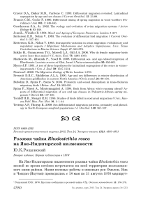 Розовая чайка Rhodostethia rosea на Яно-Индигирской низменности