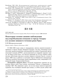 Некоторые осенне-зимние наблюдения над воробьиными птицами в городе Атырау и в долине нижнего течения реки Урал