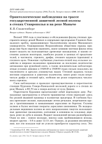 Орнитологические наблюдения на трассе государственной защитной лесной полосы в степях Ставрополья и на реке Маныче