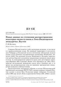 Новые данные по уточнению распространения некоторых видов куликов в Лено-Индигирском междуречье, Якутия