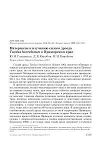 Материалы к изучению сизого дрозда Turdus hortulorum в Приморском крае