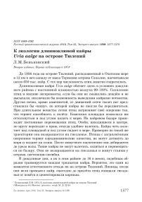 К экологии длинноклювой кайры Uria aalge на острове Тюлений