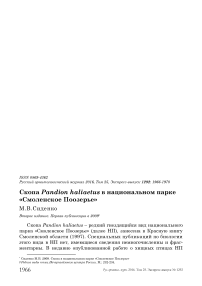 Скопа Pandion haliaetus в национальном парке «Смоленское Поозерье»