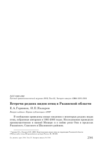 Встречи редких видов птиц в Рязанской области