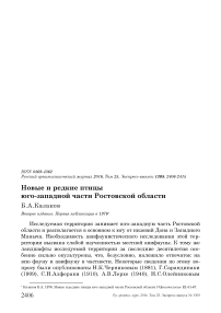 Новые и редкие птицы юго-западной части Ростовской области