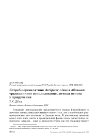 Ястреб-перепелятник Accipiter nisus в Абхазии: традиционное использование, методы отлова и приручения