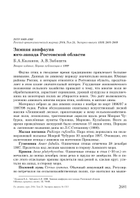 Зимняя авифауна юго-запада Ростовской области