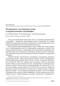 Нетипичное гнездование птиц в антропогенном ландшафте