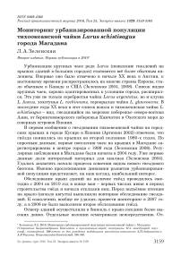 Мониторинг урбанизированной популяции тихоокеанской чайки Larus schistisagus города Магадана