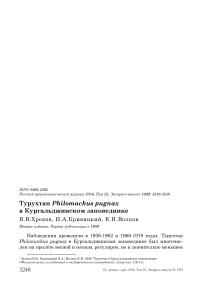 Турухтан Philomachus pugnax в Кургальджинском заповеднике