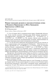 Новые находки редких и малоизученных птиц в Нижнем Приамурье и Юго-Западном Приохотье в 2012 году