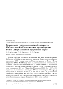 Уникальное гнездовье орлана-белохвоста Haliaeetus albicilla на скалах правобережья Волги (Щербаковский природный парк)