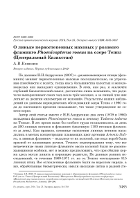 О линьке первостепенных маховых у розового фламинго Phoenicopterus roseus на озере Тениз (Центральный Казахстан)